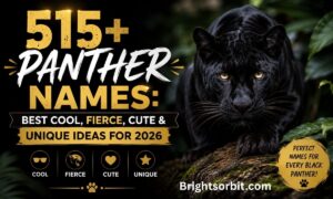 515+ Panther Names: Best Cool, Fierce, Cute & Unique Ideas for 2026
