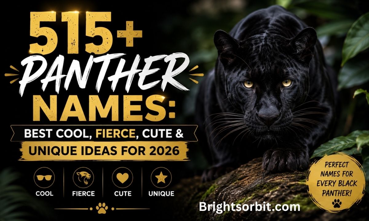 515+ Panther Names: Best Cool, Fierce, Cute & Unique Ideas for 2026