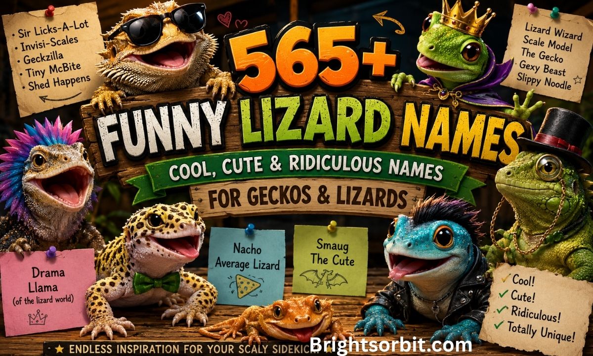 565+ Funny Lizard Names – Cool, Cute & Ridiculous Names