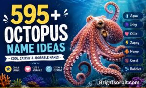 595+ Octopus Name Ideas – Cool, Catchy & Adorable Names