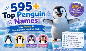 595+ Top Penguin Names Icy Funny & Pop-Culture Inspired Picks
