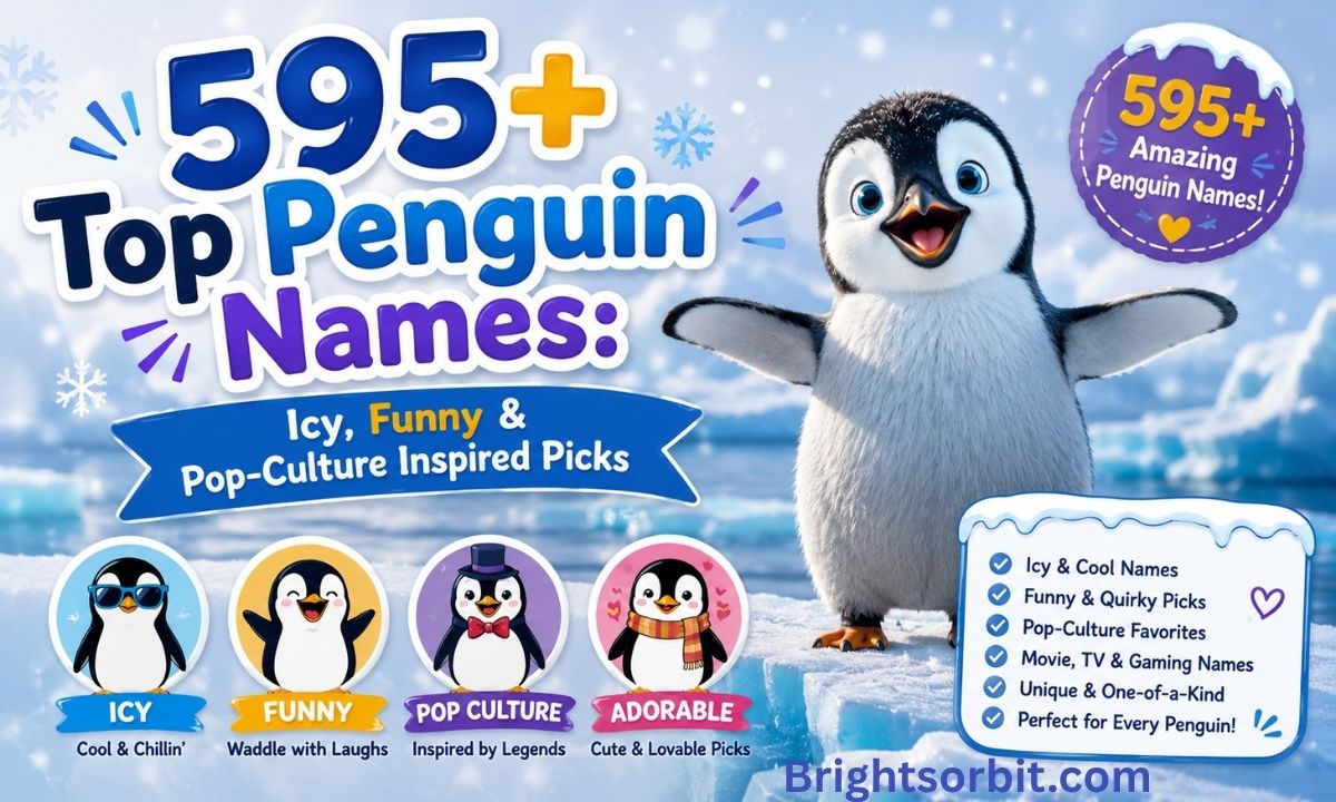 595+ Top Penguin Names Icy Funny & Pop-Culture Inspired Picks