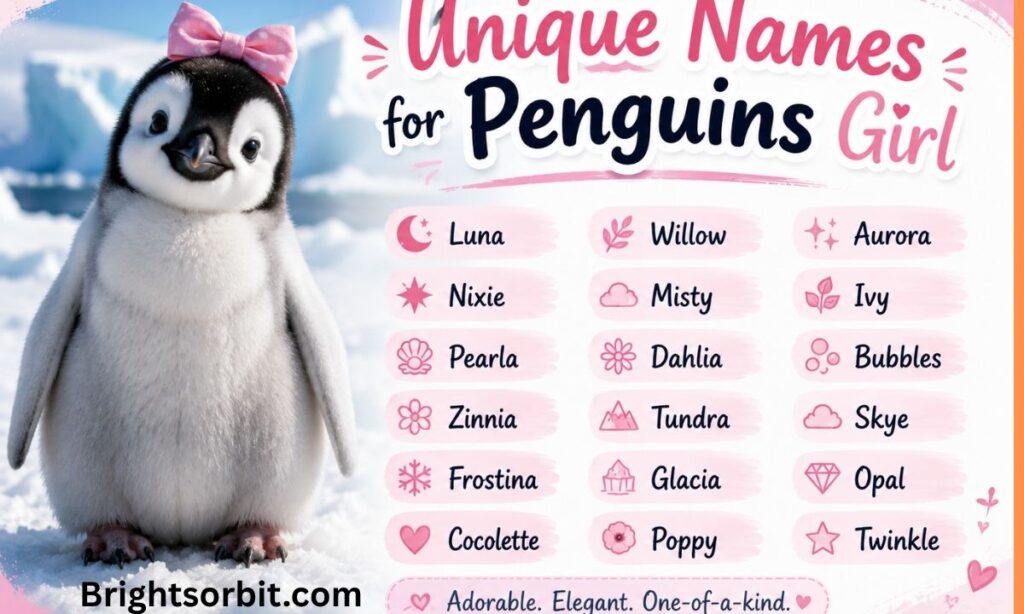 Unique Names for Penguins Girl
