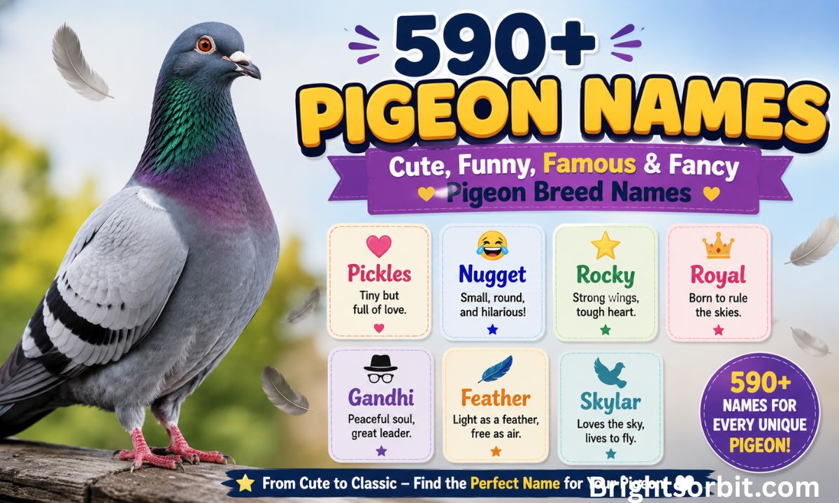 590+ Pigeon Names: Cute, Funny, Famous & Fancy Pigeon Breed Names